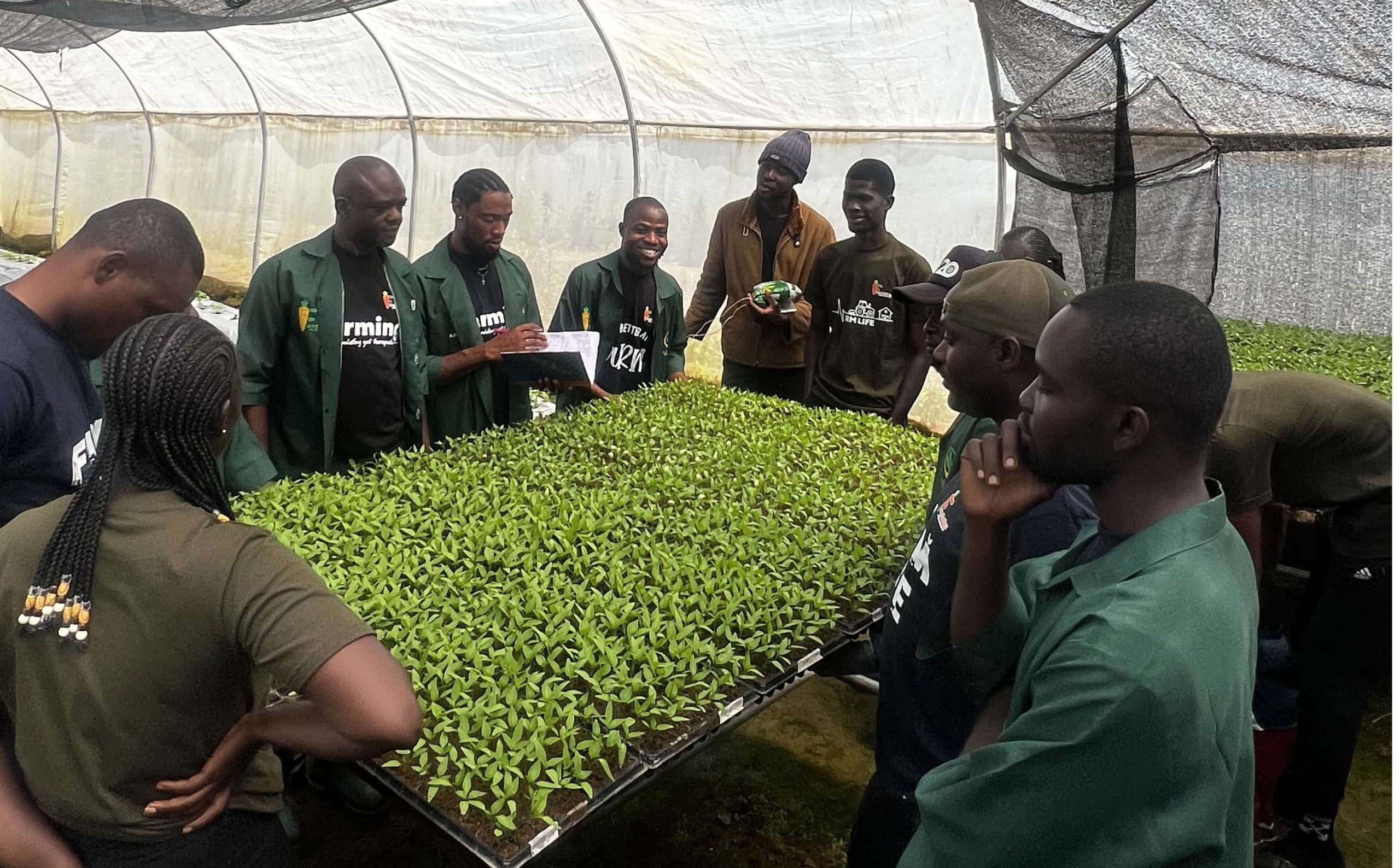 IMG_1149 (1)_cropped_processed_by_imagy