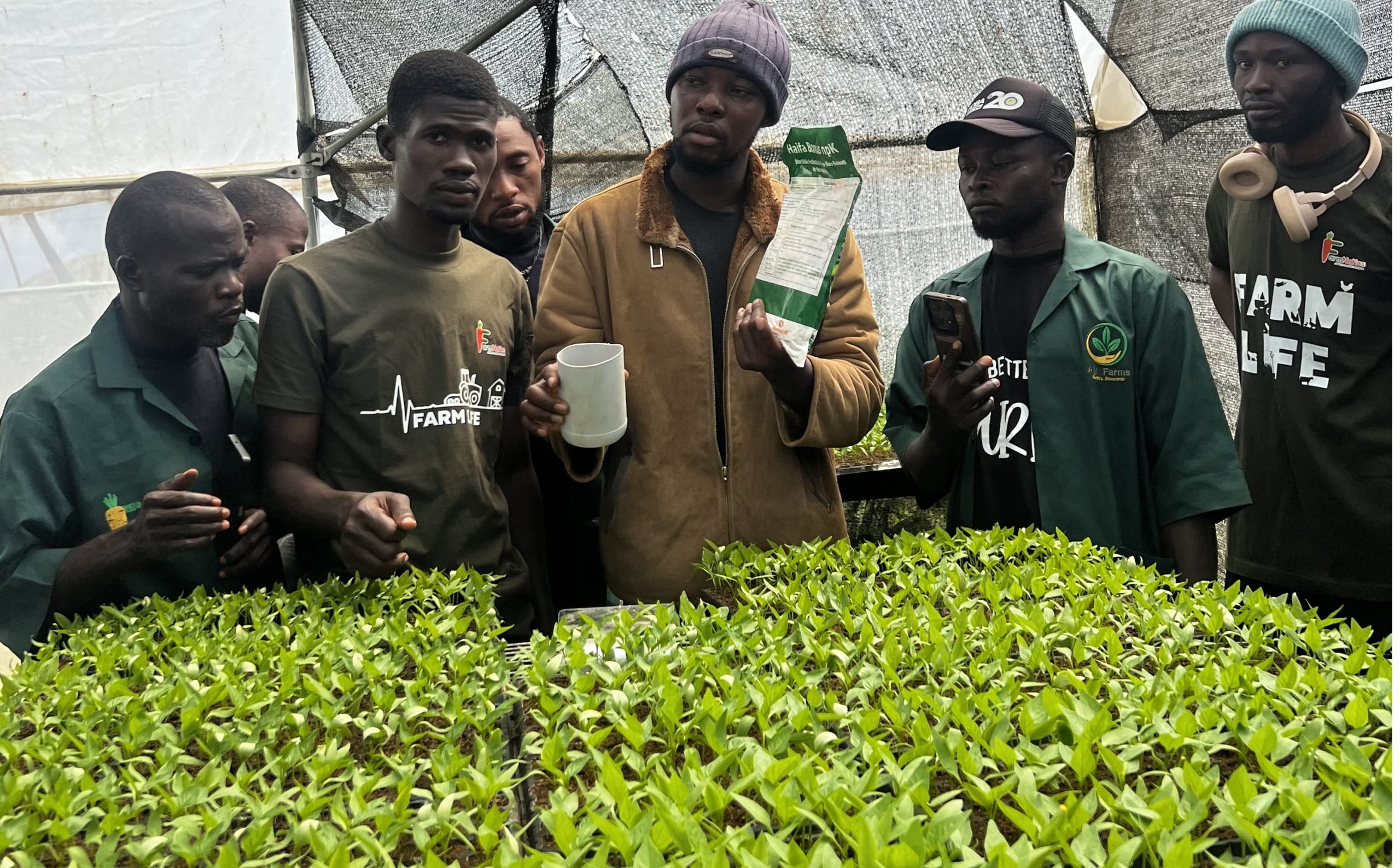 IMG_1156 (1)_cropped_processed_by_imagy