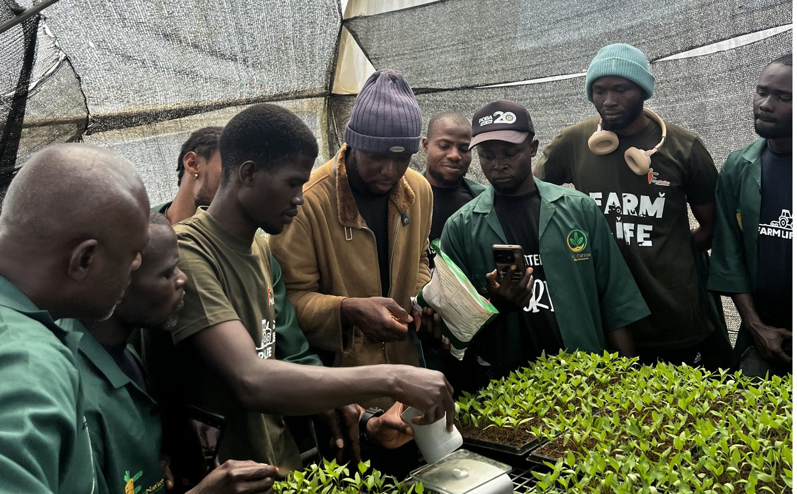 IMG_1159 (1)_cropped_processed_by_imagy