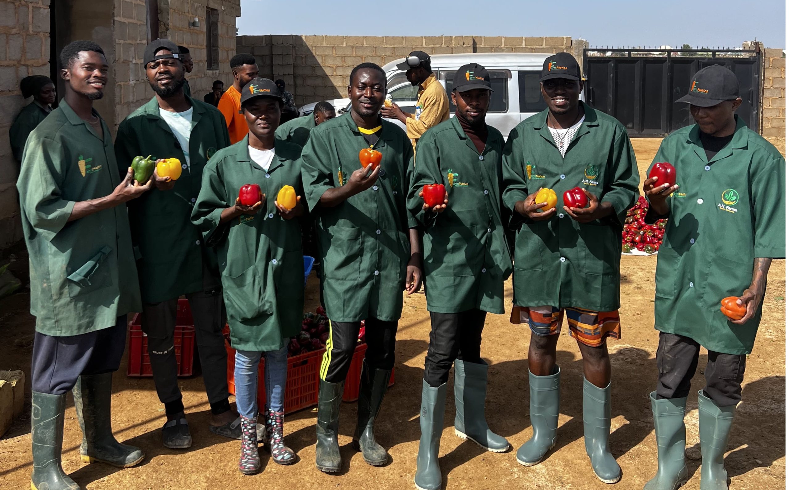 IMG_1856 (2)_cropped_processed_by_imagy