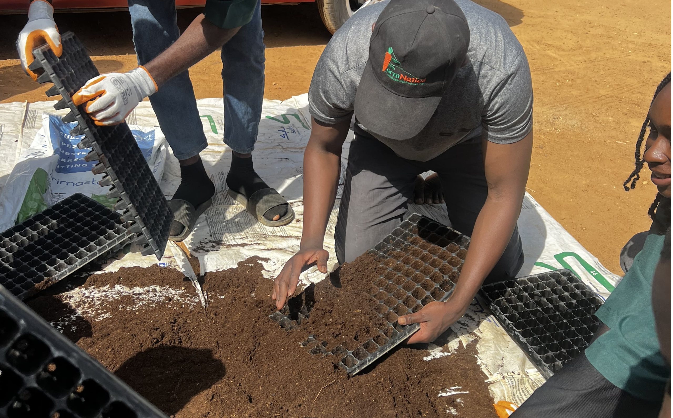 IMG_3468 (1)_cropped_processed_by_imagy