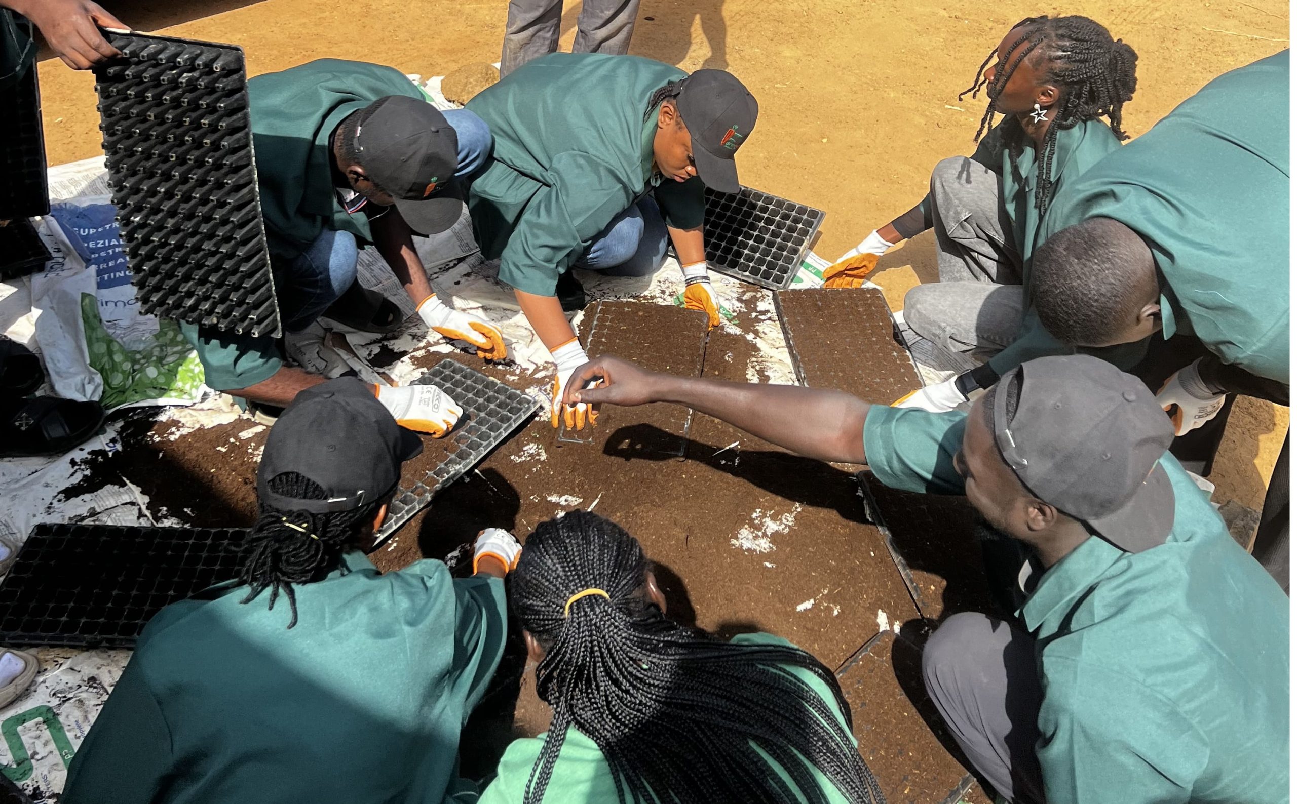 IMG_3480_cropped_processed_by_imagy