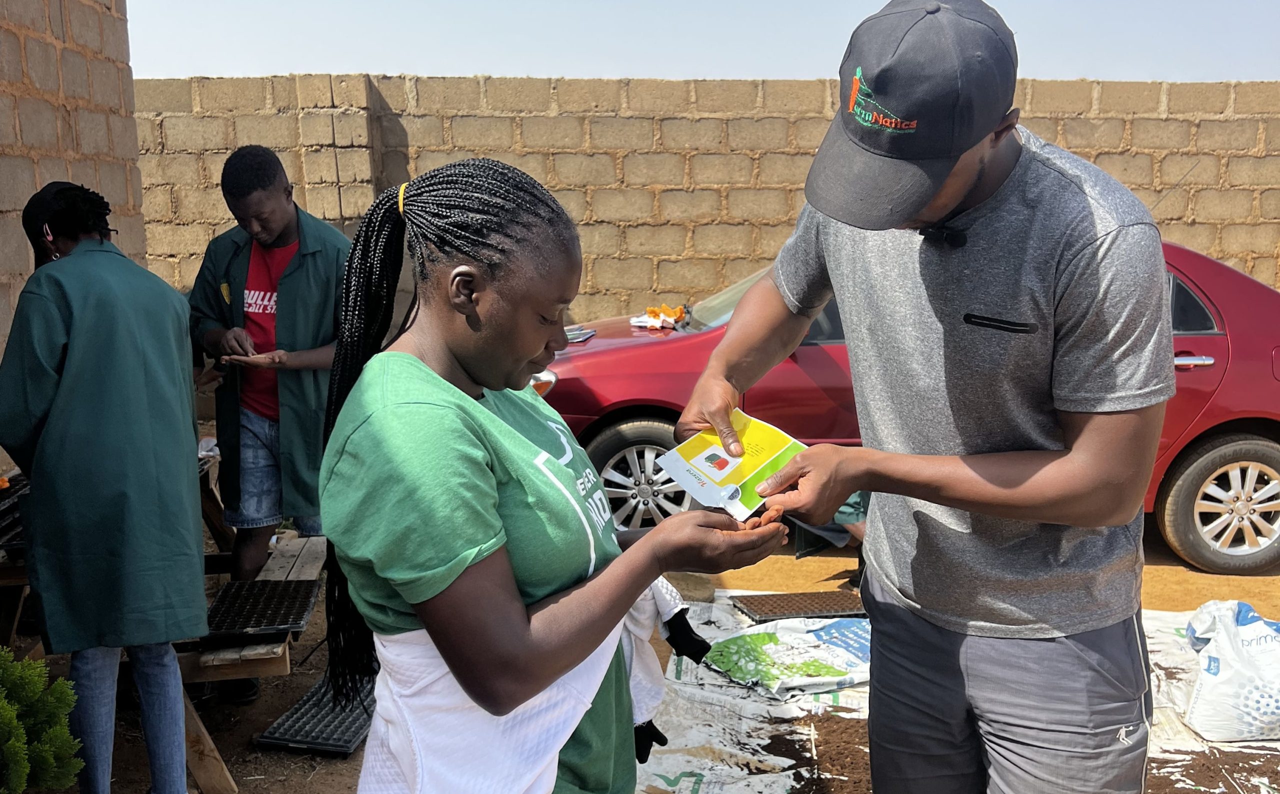 IMG_3484 (1)_cropped_processed_by_imagy